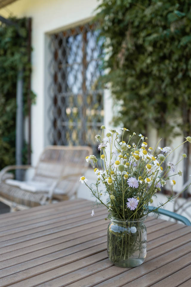 Immobilie Bauernhof 2